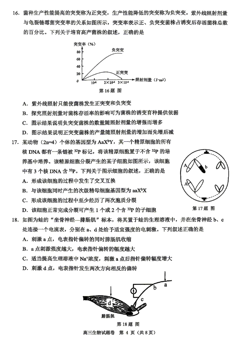 生物试题_2024-2026高三（6-6月题库）_2026年04月高三试卷_260412浙江省温州市2026届温州市普通高中高三年级第二次适应性考试（全科）