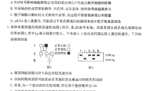 生物试题卷-2026太原高考一模生物卷_2024-2026高三（6-6月题库）_2026年03月高三试卷_260328山西省太原市2026届高三年级模拟考试（一）（全科）_2026太原高考一模生物