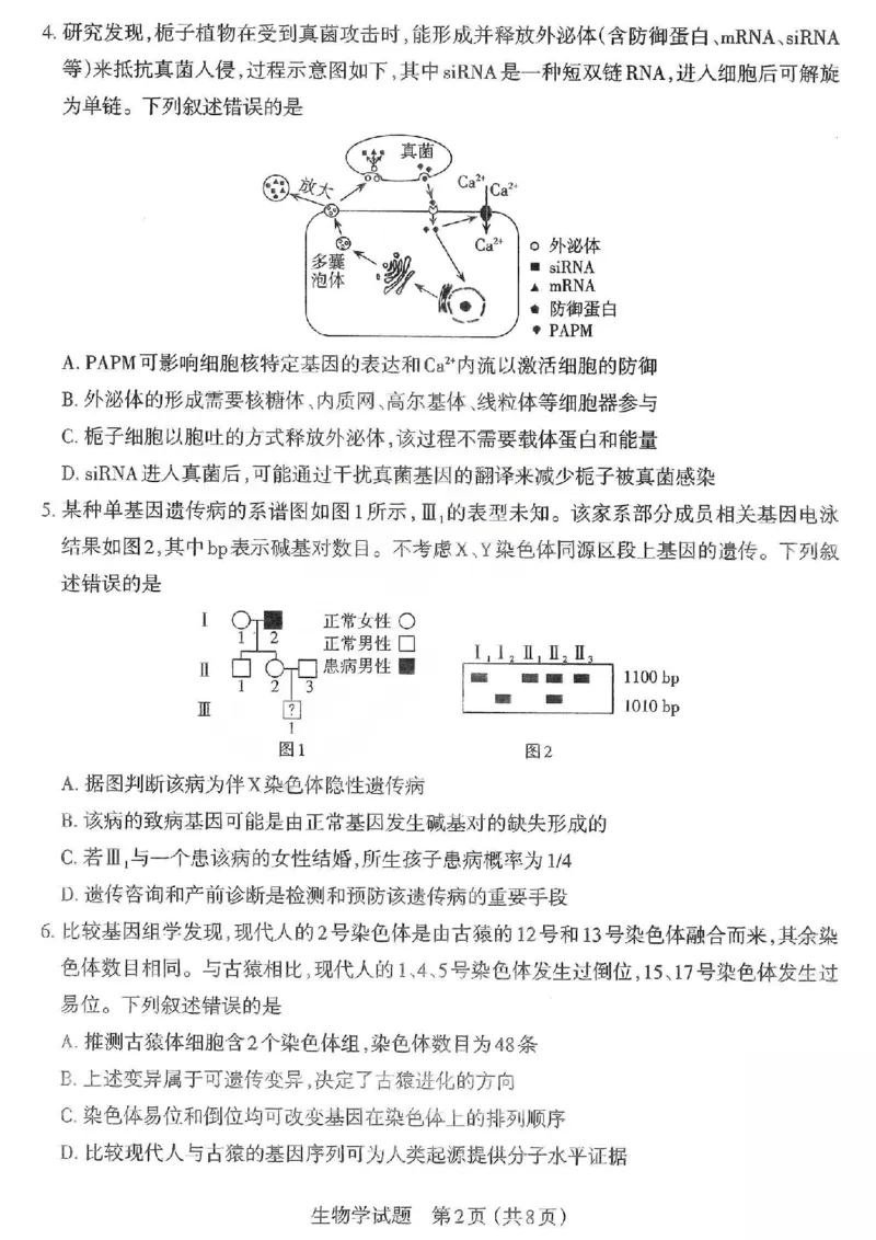 生物试题卷-2026太原高考一模生物卷_2024-2026高三（6-6月题库）_2026年03月高三试卷_260328山西省太原市2026届高三年级模拟考试（一）（全科）_2026太原高考一模生物