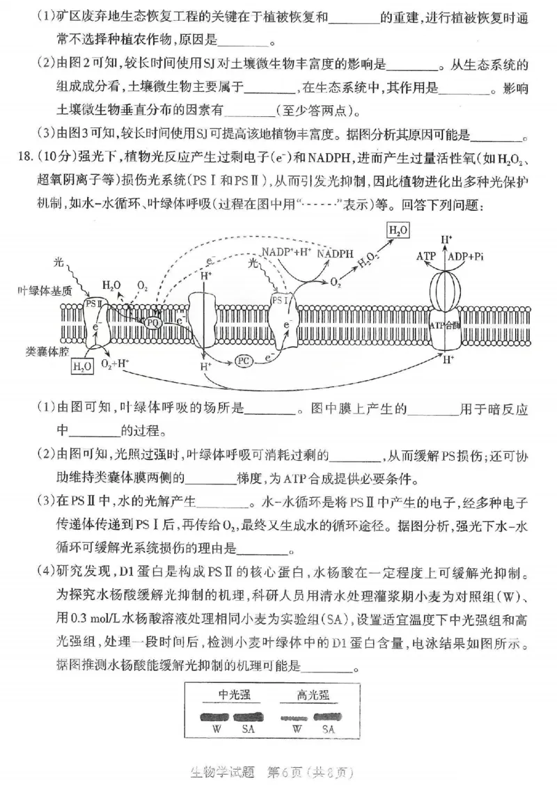 生物试题卷-2026太原高考一模生物卷_2024-2026高三（6-6月题库）_2026年03月高三试卷_260328山西省太原市2026届高三年级模拟考试（一）（全科）_2026太原高考一模生物