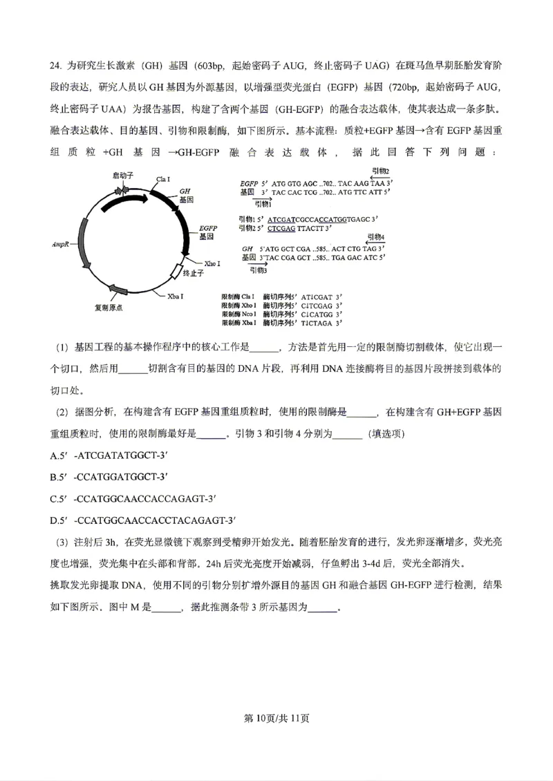 生物2026届辽宁省实验中学高三下学期4月高考模拟考试_2024-2026高三（6-6月题库）_2026年04月高三试卷_2604292026届辽宁省实验中学高三下学期4月高考模拟（全科）