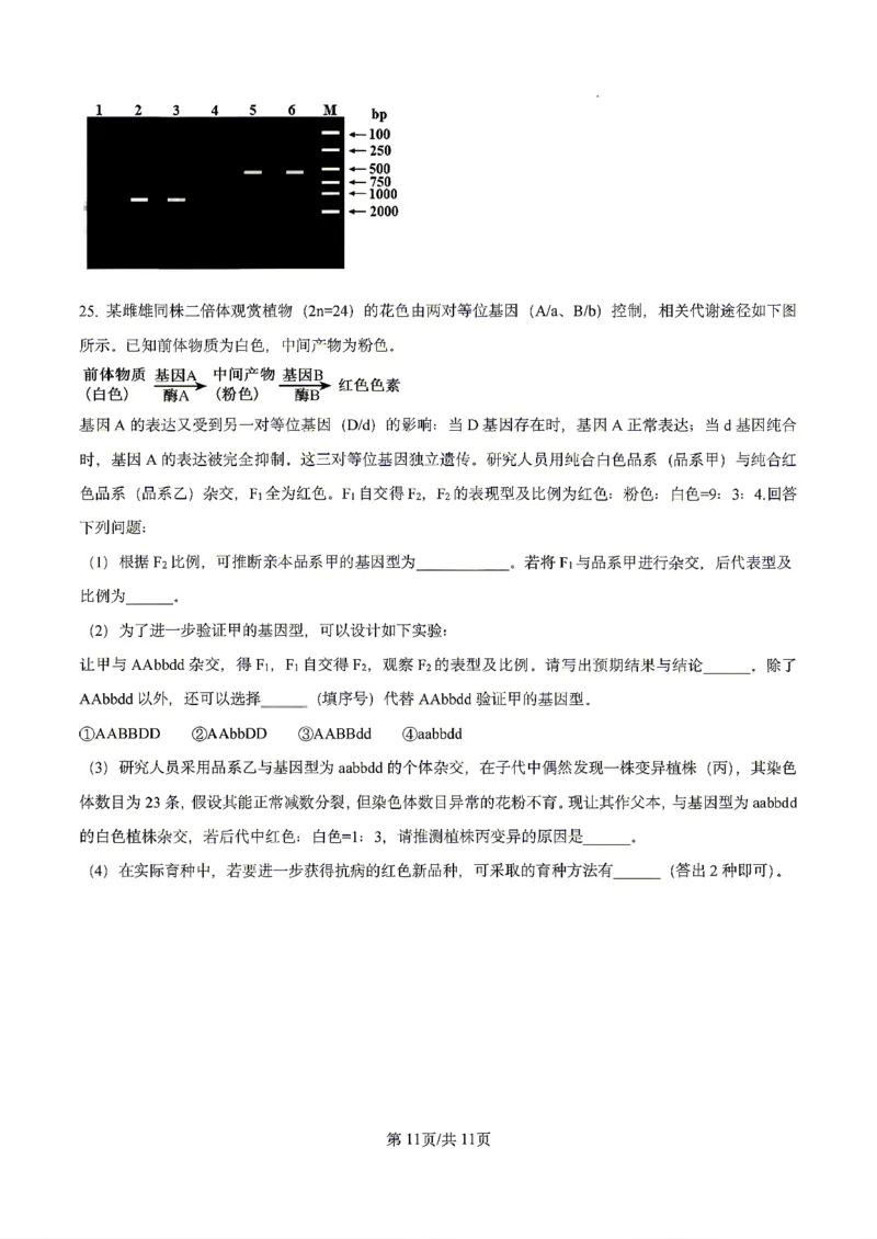 生物2026届辽宁省实验中学高三下学期4月高考模拟考试_2024-2026高三（6-6月题库）_2026年04月高三试卷_2604292026届辽宁省实验中学高三下学期4月高考模拟（全科）