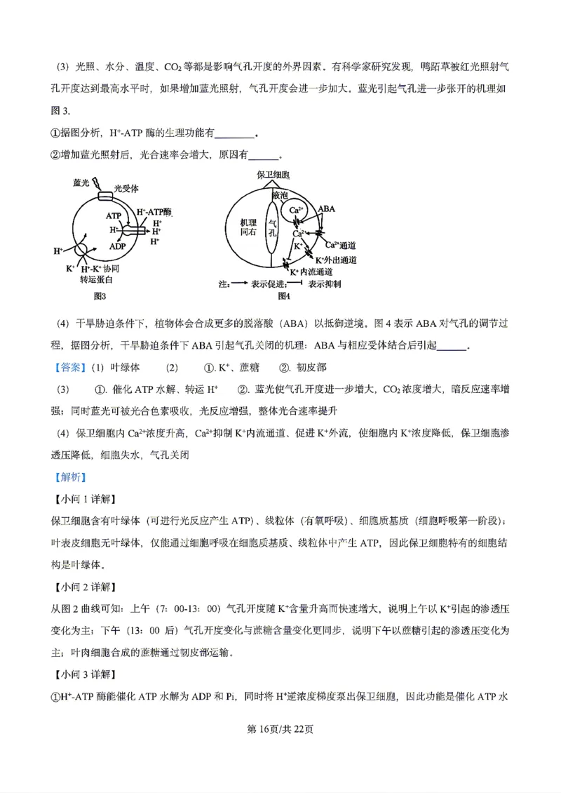 生物2026届辽宁省实验中学高三下学期4月高考模拟考试_2024-2026高三（6-6月题库）_2026年04月高三试卷_2604292026届辽宁省实验中学高三下学期4月高考模拟（全科）