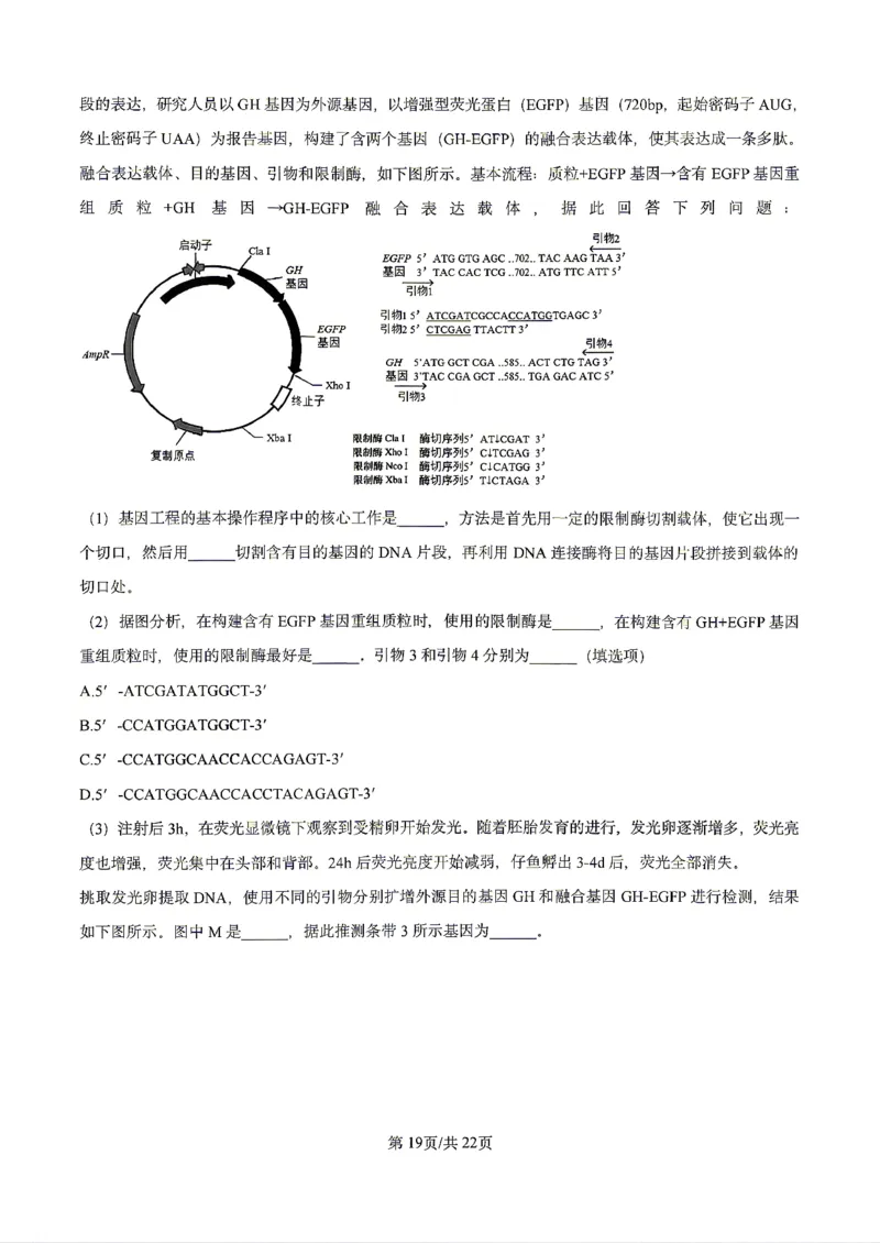 生物2026届辽宁省实验中学高三下学期4月高考模拟考试_2024-2026高三（6-6月题库）_2026年04月高三试卷_2604292026届辽宁省实验中学高三下学期4月高考模拟（全科）
