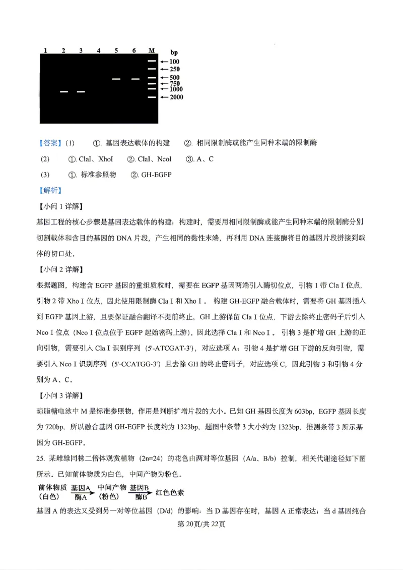 生物2026届辽宁省实验中学高三下学期4月高考模拟考试_2024-2026高三（6-6月题库）_2026年04月高三试卷_2604292026届辽宁省实验中学高三下学期4月高考模拟（全科）
