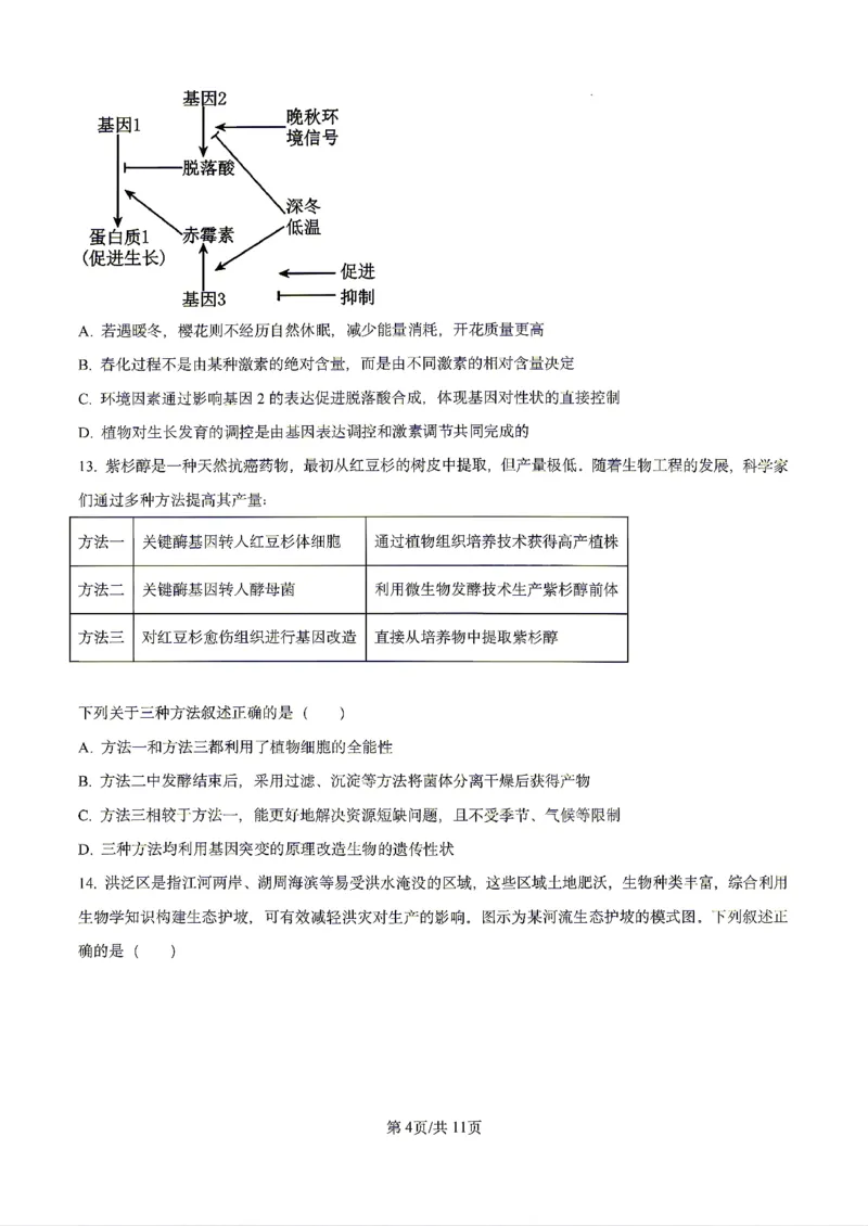 生物2026届辽宁省实验中学高三下学期4月高考模拟考试_2024-2026高三（6-6月题库）_2026年04月高三试卷_2604292026届辽宁省实验中学高三下学期4月高考模拟（全科）