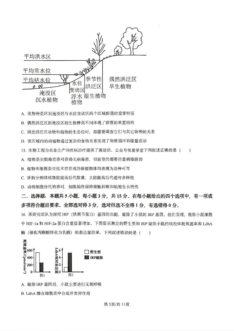 生物2026届辽宁省实验中学高三下学期4月高考模拟考试_2024-2026高三（6-6月题库）_2026年04月高三试卷_2604292026届辽宁省实验中学高三下学期4月高考模拟（全科）