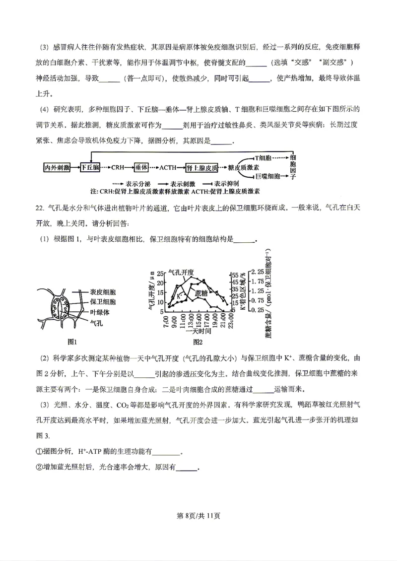 生物2026届辽宁省实验中学高三下学期4月高考模拟考试_2024-2026高三（6-6月题库）_2026年04月高三试卷_2604292026届辽宁省实验中学高三下学期4月高考模拟（全科）