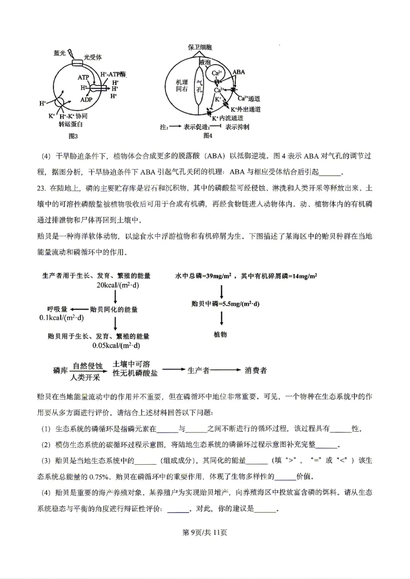 生物2026届辽宁省实验中学高三下学期4月高考模拟考试_2024-2026高三（6-6月题库）_2026年04月高三试卷_2604292026届辽宁省实验中学高三下学期4月高考模拟（全科）