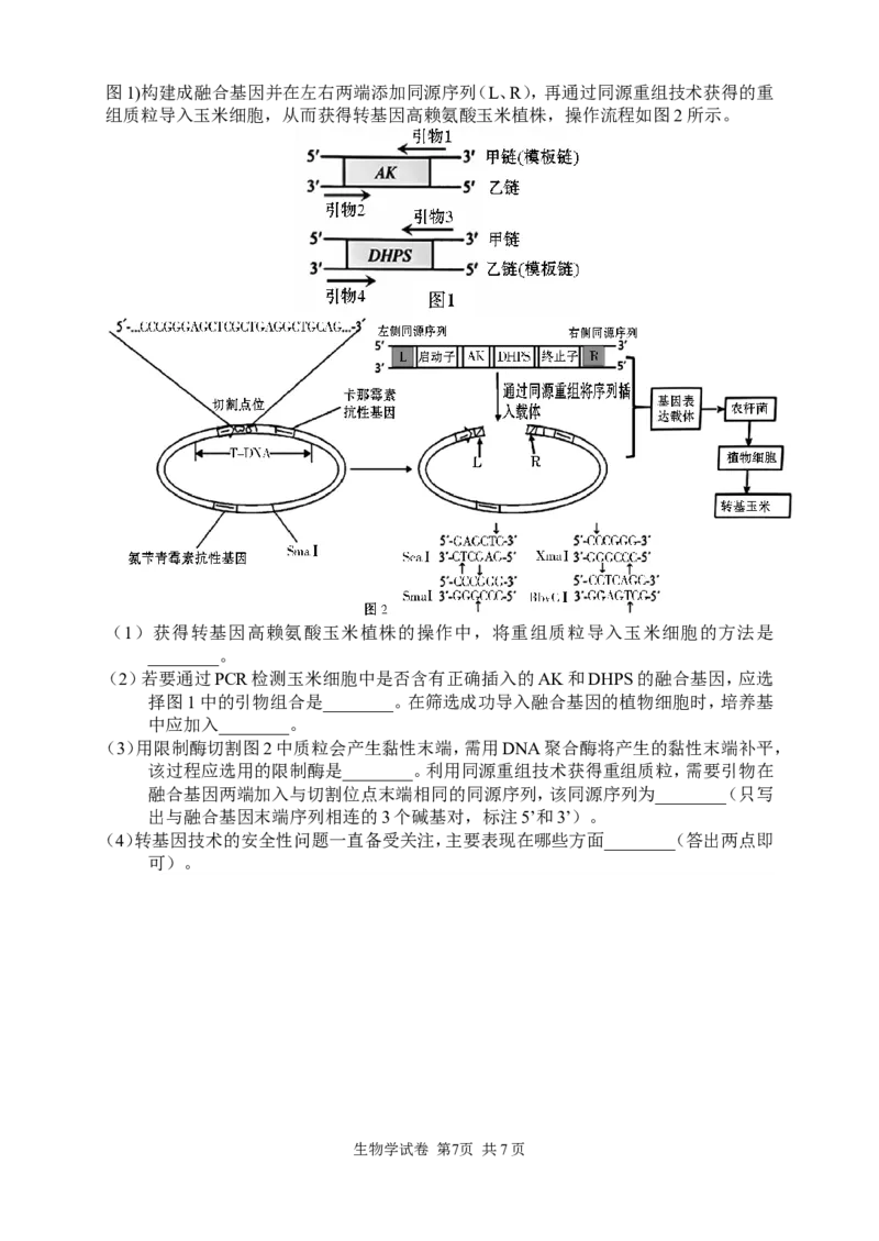 生物试卷_2024-2026高三（6-6月题库）_2026年04月高三试卷_260401湖南省常德市2026届高三年级3月模拟（全科）_湖南省常德市2026届高三年级3月模拟生物试卷
