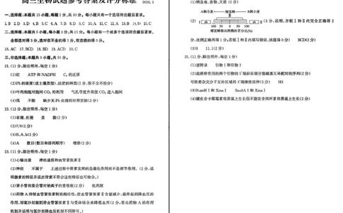 山东省滨州市2026届高三年级一模考试生物答案_2024-2026高三（6-6月题库）_2026年03月高三试卷_260315山东省滨州市2026届高三年级一模考试（滨州一模）（全科）