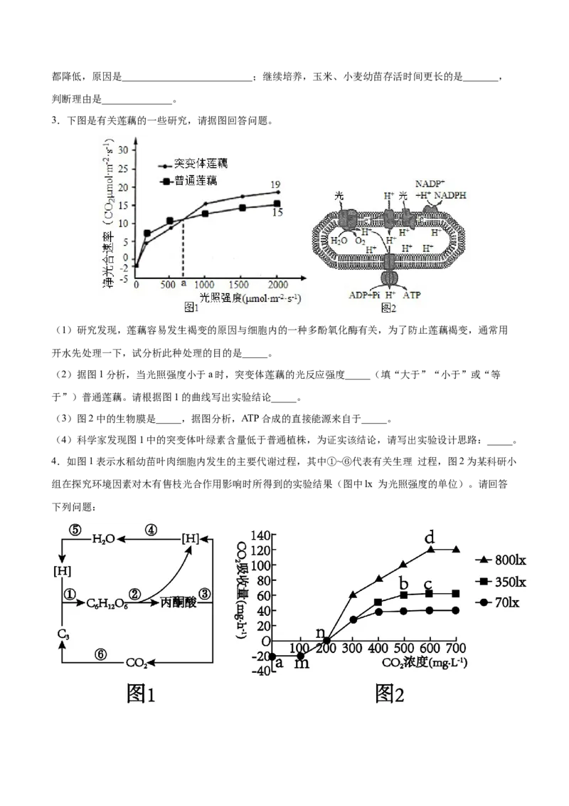 押新课标全国卷第29题-备战2021年高考生物临考题号押题（新课标卷）（原卷版）_新高考复习资料_2021年新高考资料_备战2021年高考生物临考题号押题（新课标卷）