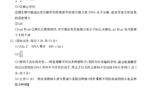 南宁2026年3月高三二模生物答案_2024-2026高三（6-6月题库）_2026年03月高三试卷_260327广西南宁市2026届普通高中毕业班第二次适应性测试（全科）