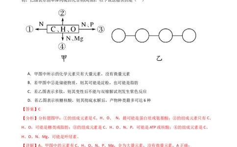 必修1分子与细胞测试卷（解析版）_新高考复习资料_2024年新高考复习资料_❤专项复习资料_完一轮测试备战2024年高考生物按教材测试卷（新教材新高考）_教师版（含答案解析）