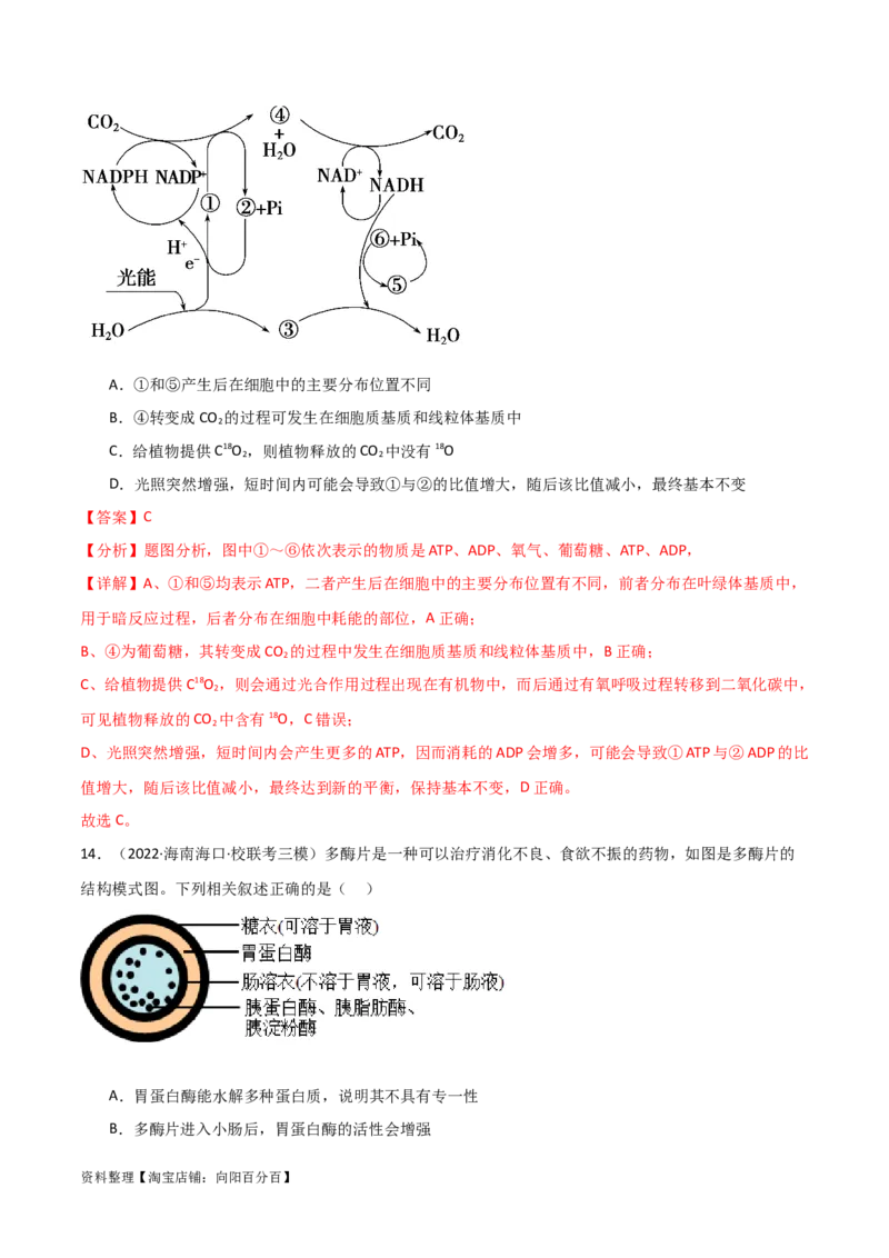 必修1分子与细胞测试卷（解析版）_新高考复习资料_2024年新高考复习资料_❤专项复习资料_完一轮测试备战2024年高考生物按教材测试卷（新教材新高考）_教师版（含答案解析）