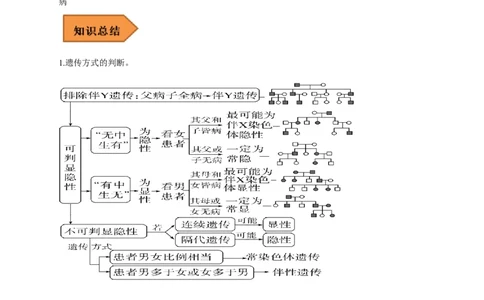易错点14关于遗传系谱图分析的遗传题-备战2023年高考生物考试易错题（全国通用）（原卷版）_通用版（老高考）复习资料_2023年复习资料_专项复习
