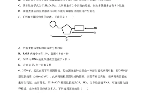 易错点02组成细胞的元素与化合物-备战2023年高考生物考试易错题（原卷版）（全国通用）_新高考复习资料_2023年新高考复习资料_专项复习_备战2023年高考生物考试易错题（新教材新高考）