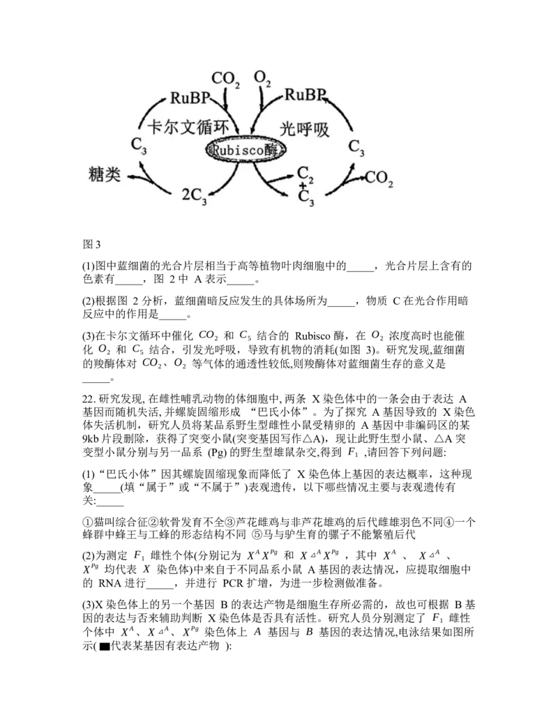 吉林省通化市梅河口市第五中学2025-2026学年高三下学期开学考试生物试卷（含答案）_2024-2026高三（6-6月题库）_2026年03月高三试卷