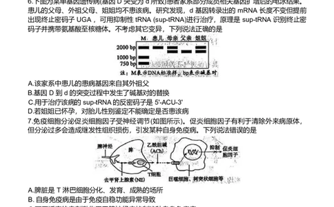 山东省东营市2026届高三年级第一次诊断性测试生物_2024-2026高三（6-6月题库）_2026年03月高三试卷_260310山东省东营市2026届高三年级第一次诊断性测试（东营一模）（全科）