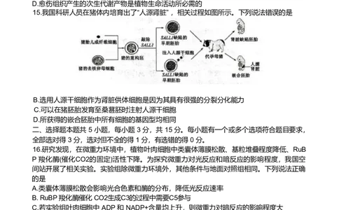 山东省东营市2026届高三年级第一次诊断性测试生物_2024-2026高三（6-6月题库）_2026年03月高三试卷_260310山东省东营市2026届高三年级第一次诊断性测试（东营一模）（全科）