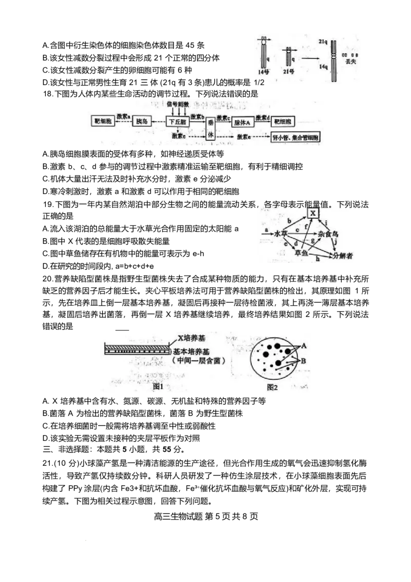 山东省东营市2026届高三年级第一次诊断性测试生物_2024-2026高三（6-6月题库）_2026年03月高三试卷_260310山东省东营市2026届高三年级第一次诊断性测试（东营一模）（全科）