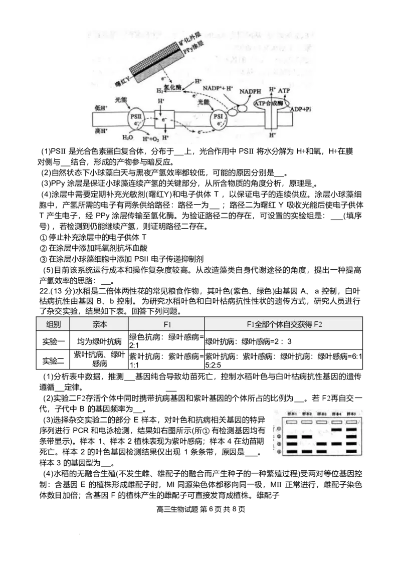 山东省东营市2026届高三年级第一次诊断性测试生物_2024-2026高三（6-6月题库）_2026年03月高三试卷_260310山东省东营市2026届高三年级第一次诊断性测试（东营一模）（全科）