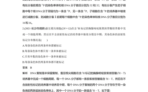 微专题7　细胞分裂过程中的同位素标记问题_新高考复习资料_2023年新高考复习资料_一轮复习_2023年新高考大一轮复习讲义_2023年高考生物一轮复习讲义（新人教新高考）_赠补充习题