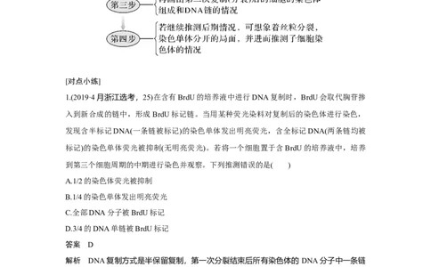 微专题7　细胞分裂过程中的同位素标记问题_新高考复习资料_2023年新高考复习资料_一轮复习_2023年新高考大一轮复习讲义_2023年高考生物一轮复习讲义（新人教新高考）_赠补充习题