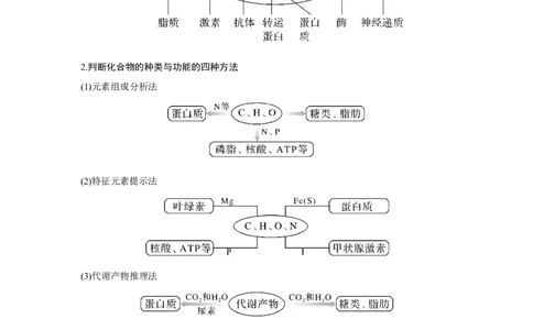 微专题1　细胞中有机物的推断_新高考复习资料_2023年新高考复习资料_一轮复习_2023年新高考大一轮复习讲义_2023年高考生物一轮复习讲义（新人教新高考）_赠补充习题