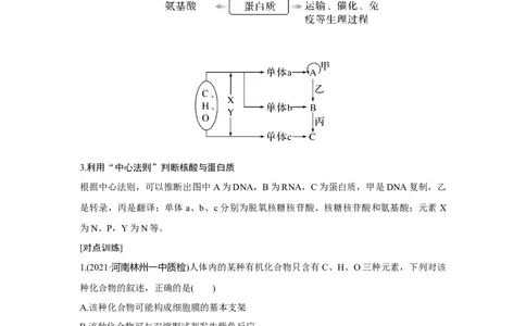 微专题1　细胞中有机物的推断_新高考复习资料_2023年新高考复习资料_一轮复习_2023年新高考大一轮复习讲义_2023年高考生物一轮复习讲义（新人教新高考）_赠补充习题