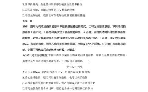 微专题1　细胞中有机物的推断_新高考复习资料_2023年新高考复习资料_一轮复习_2023年新高考大一轮复习讲义_2023年高考生物一轮复习讲义（新人教新高考）_赠补充习题