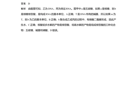 微专题1　细胞中有机物的推断_新高考复习资料_2023年新高考复习资料_一轮复习_2023年新高考大一轮复习讲义_2023年高考生物一轮复习讲义（新人教新高考）_赠补充习题