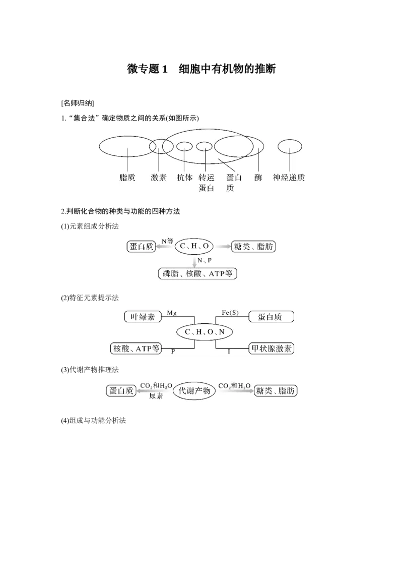 微专题1　细胞中有机物的推断_新高考复习资料_2023年新高考复习资料_一轮复习_2023年新高考大一轮复习讲义_2023年高考生物一轮复习讲义（新人教新高考）_赠补充习题