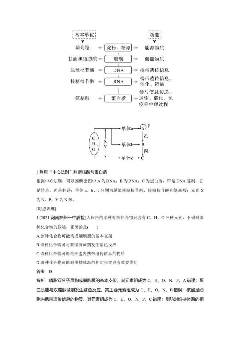 微专题1　细胞中有机物的推断_新高考复习资料_2023年新高考复习资料_一轮复习_2023年新高考大一轮复习讲义_2023年高考生物一轮复习讲义（新人教新高考）_赠补充习题