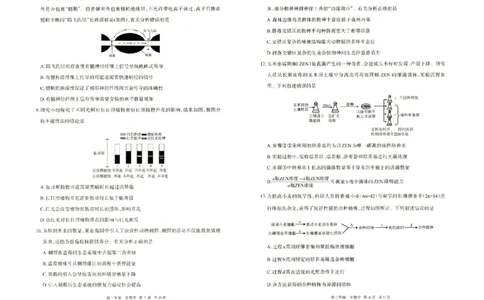 生物试题卷_2024-2026高三（6-6月题库）_2026年04月高三试卷_260427内蒙古呼和浩特市2026届高三年级第二次质量数据监测（全科）