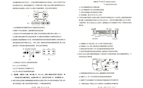 生物试题卷_2024-2026高三（6-6月题库）_2026年04月高三试卷_260427内蒙古呼和浩特市2026届高三年级第二次质量数据监测（全科）