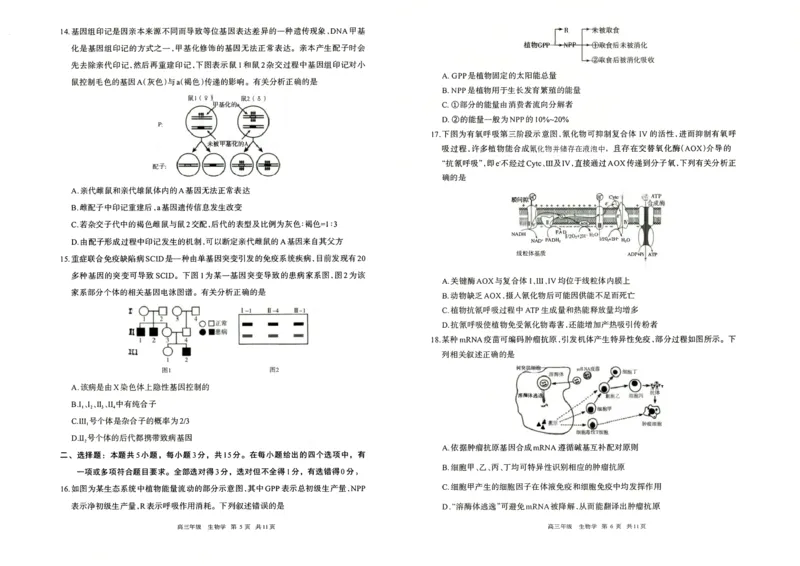 生物试题卷_2024-2026高三（6-6月题库）_2026年04月高三试卷_260427内蒙古呼和浩特市2026届高三年级第二次质量数据监测（全科）