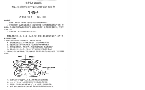 安徽省合肥市2026届高三下学期第二次教学质量检测生物卷及答案_2024-2026高三（6-6月题库）_2026年04月高三试卷