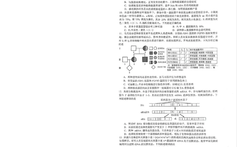 安徽省合肥市2026届高三下学期第二次教学质量检测生物卷及答案_2024-2026高三（6-6月题库）_2026年04月高三试卷