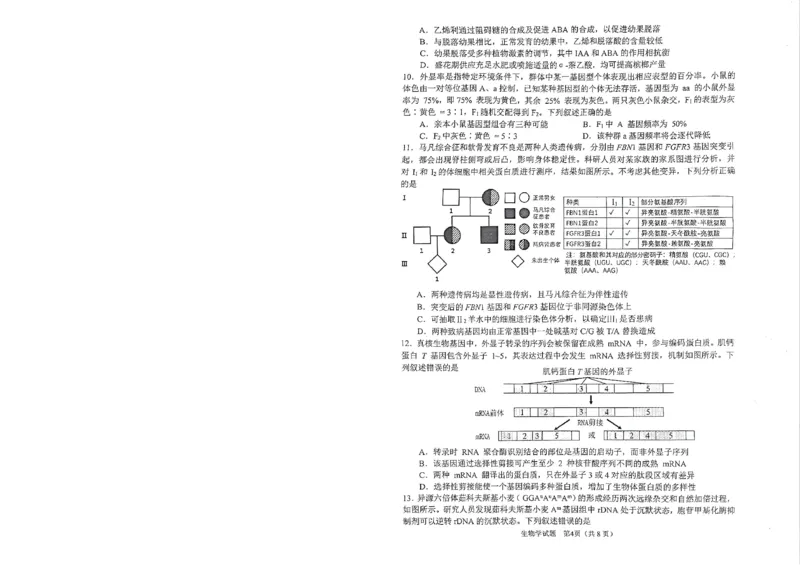 安徽省合肥市2026届高三下学期第二次教学质量检测生物卷及答案_2024-2026高三（6-6月题库）_2026年04月高三试卷