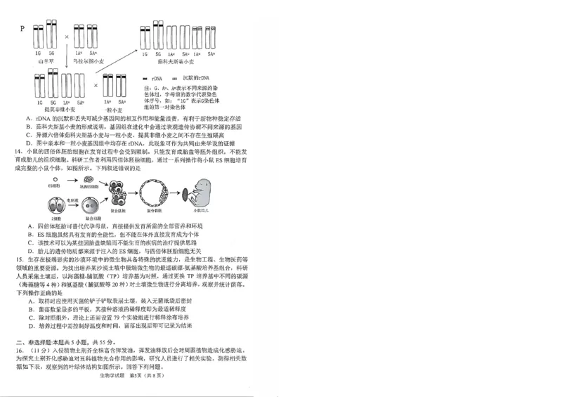 安徽省合肥市2026届高三下学期第二次教学质量检测生物卷及答案_2024-2026高三（6-6月题库）_2026年04月高三试卷