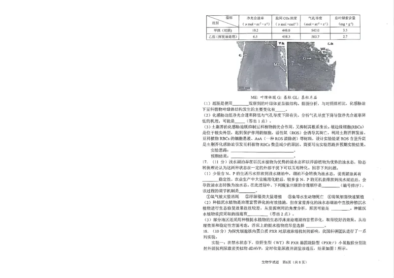 安徽省合肥市2026届高三下学期第二次教学质量检测生物卷及答案_2024-2026高三（6-6月题库）_2026年04月高三试卷