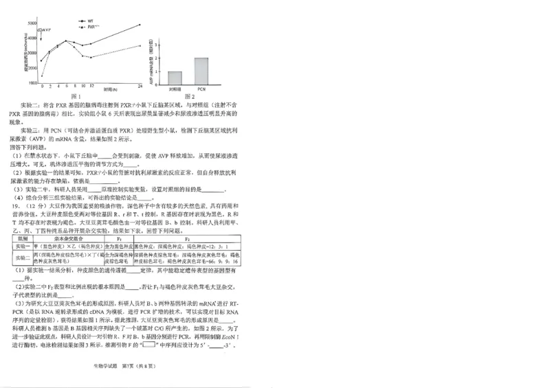 安徽省合肥市2026届高三下学期第二次教学质量检测生物卷及答案_2024-2026高三（6-6月题库）_2026年04月高三试卷