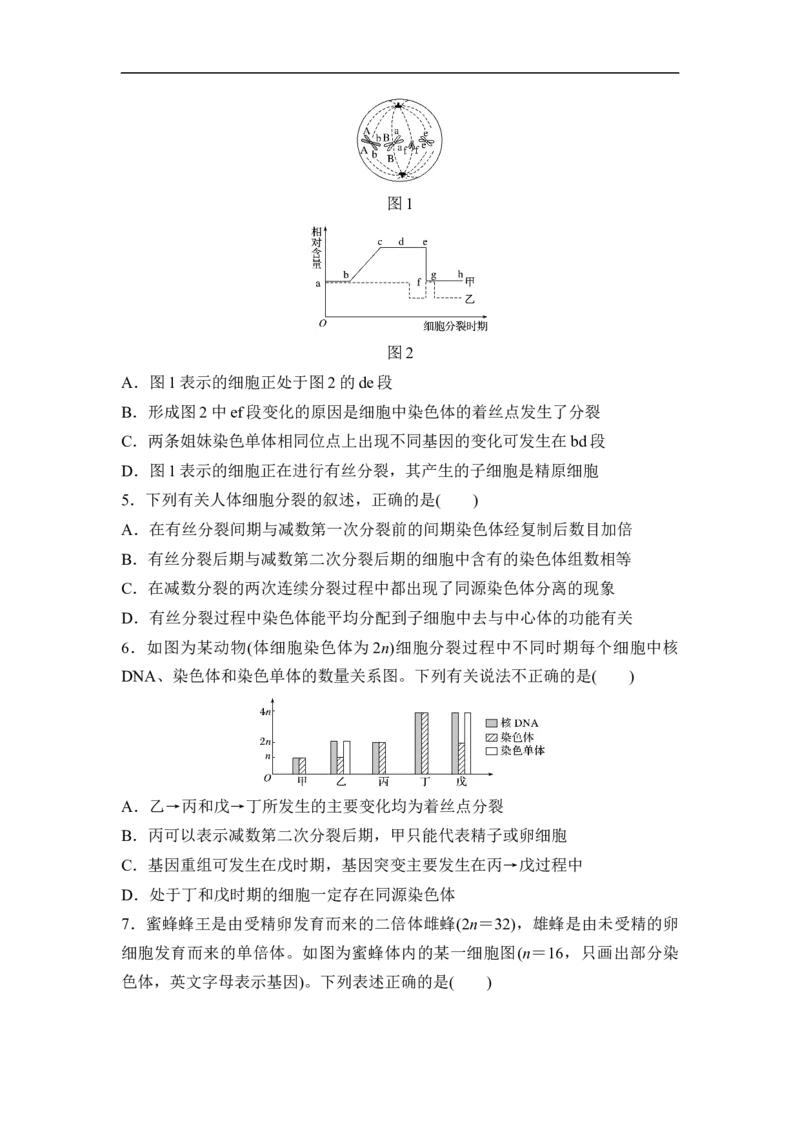 夯基提能练12减数分裂和受精作用-备战2023高考生物一轮复习夯基提能练（全国通用）（原卷版）_通用版（老高考）复习资料_2023年复习资料_一轮复习
