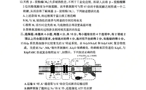 生物试卷_2024-2026高三（6-6月题库）_2026年03月高三试卷_2603272026届江西吉安市高三下学期一模(全科）_2026届江西吉安市高三下学期一模生物试题（含答案）