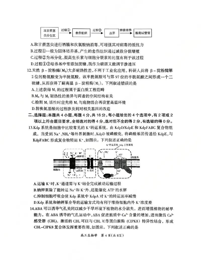 生物试卷_2024-2026高三（6-6月题库）_2026年03月高三试卷_2603272026届江西吉安市高三下学期一模(全科）_2026届江西吉安市高三下学期一模生物试题（含答案）