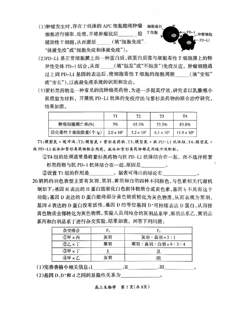 生物试卷_2024-2026高三（6-6月题库）_2026年03月高三试卷_2603272026届江西吉安市高三下学期一模(全科）_2026届江西吉安市高三下学期一模生物试题（含答案）