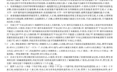 九师联盟2026届高三下学期4月学业评估生物答案_2024-2026高三（6-6月题库）_2026年04月高三试卷_260413九师联盟2026届高三下学期4月学业评估（全科）