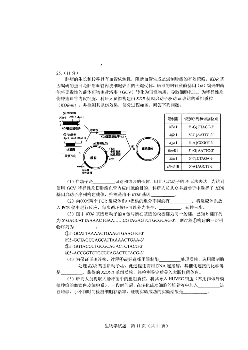 生物_长春市2026届高三质量监测(二)_2024-2026高三（6-6月题库）_2026年04月高三试卷_260410吉林省长春市2026届高三质量监测（二）长春二模（全科）