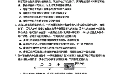 生物-2026届吉林地区2025-2026高三下第三次调研测试(吉林三调)_2024-2026高三（6-6月题库）_2026年04月高三试卷_2604032026届吉林地区2025-2026高三下第三次调研测试(吉林三调)（全科）